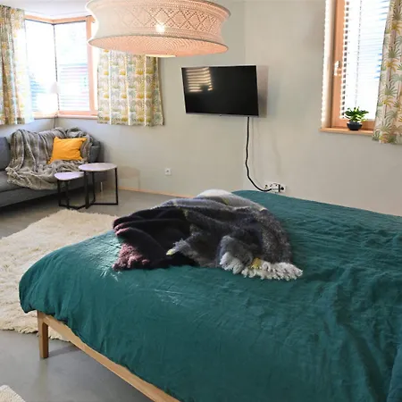 Appartement Halbinsel52 I Seesicht - Exklusive Maisonette-wohnung Mit Seesicht Wasserburg
