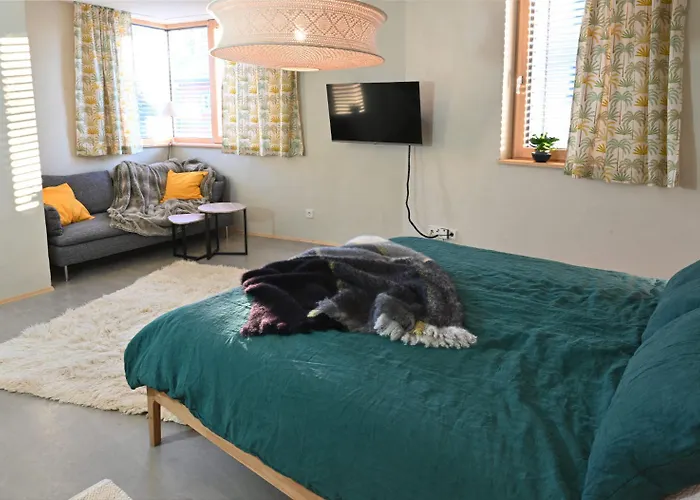 Apartment Halbinsel52 I Seesicht - Exklusive Maisonette-wohnung Mit Seesicht Wasserburg